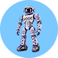 D2R2P Logo